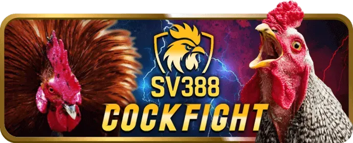 Bước 3: Chọn sảnh đá gà và trận đấu